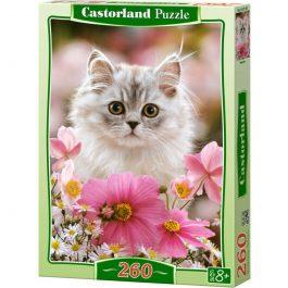 Κitten 260pcs Castorland